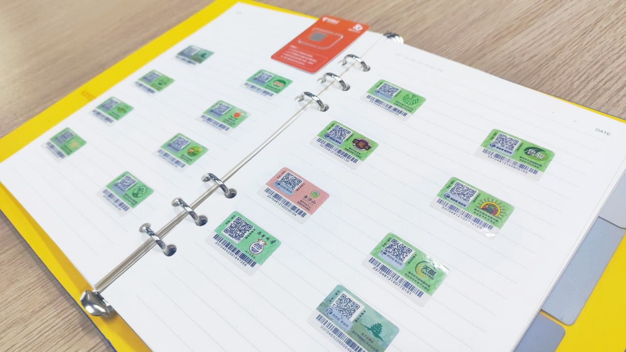 承诺达标合格证电子合格证样品